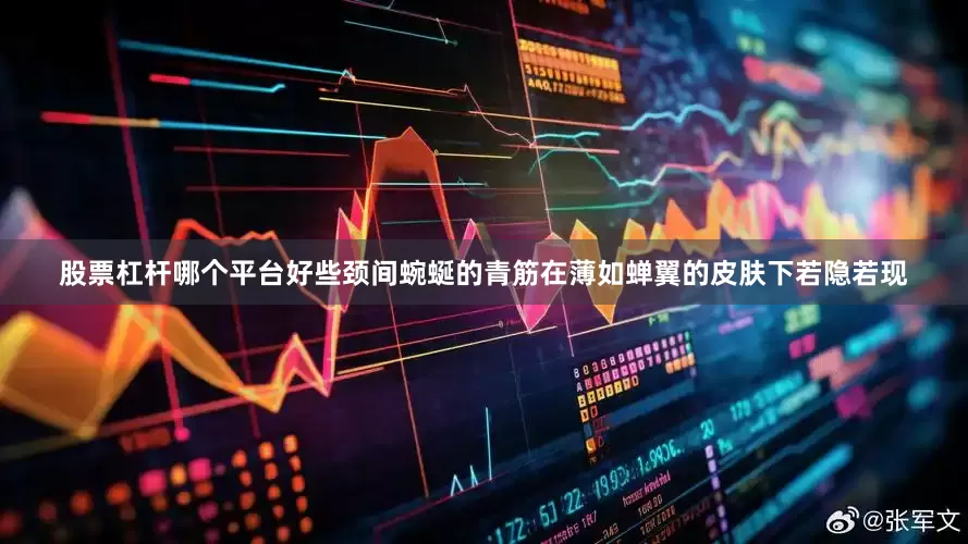 股票杠杆哪个平台好些颈间蜿蜒的青筋在薄如蝉翼的皮肤下若隐若现