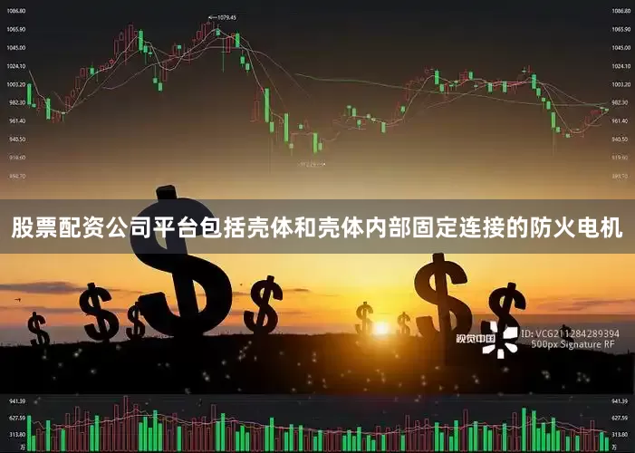 股票配资公司平台包括壳体和壳体内部固定连接的防火电机