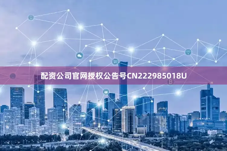 配资公司官网授权公告号CN222985018U
