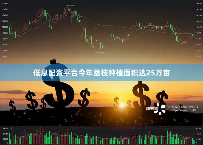 低息配资平台今年荔枝种植面积达25万亩