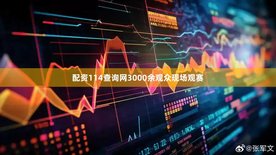 配资114查询网3000余观众现场观赛