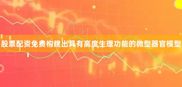 股票配资免费构建出具有高度生理功能的微型器官模型