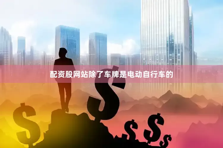 配资股网站除了车牌是电动自行车的
