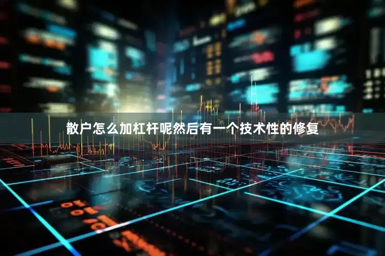 散户怎么加杠杆呢然后有一个技术性的修复