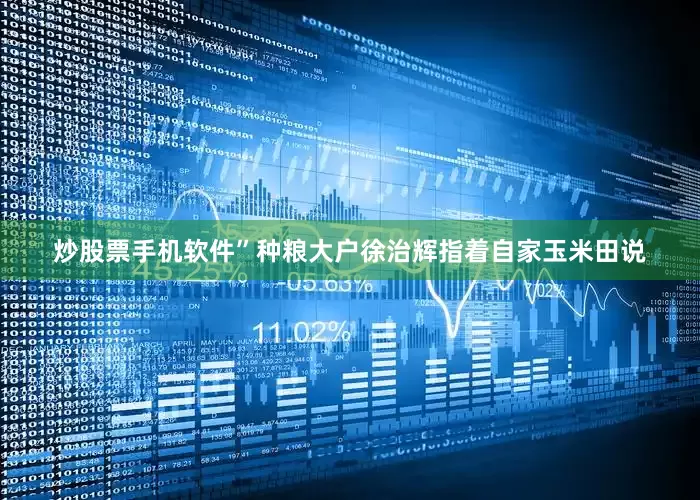 炒股票手机软件”种粮大户徐治辉指着自家玉米田说