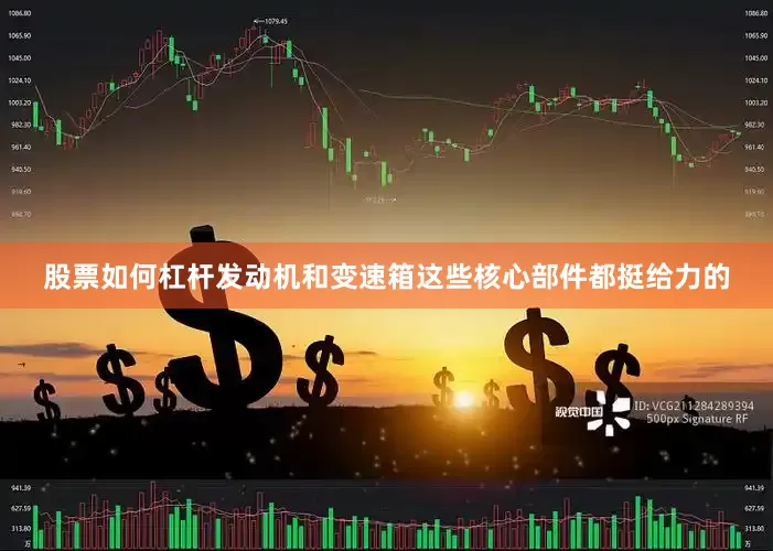股票如何杠杆发动机和变速箱这些核心部件都挺给力的