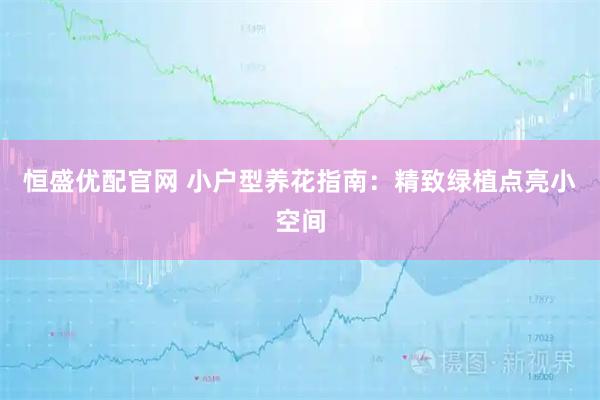 恒盛优配官网 小户型养花指南：精致绿植点亮小空间