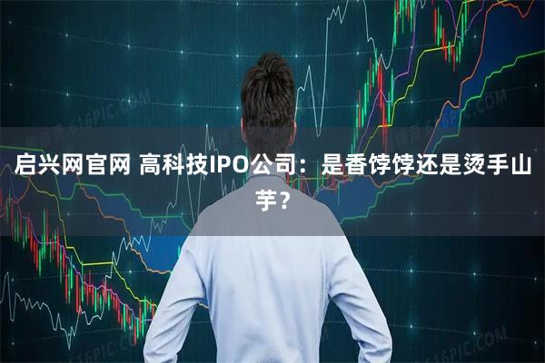 启兴网官网 高科技IPO公司：是香饽饽还是烫手山芋？